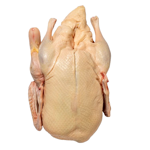 Muscovy Duck Meat